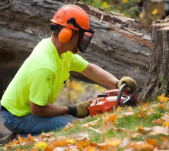 tree services Stanberry